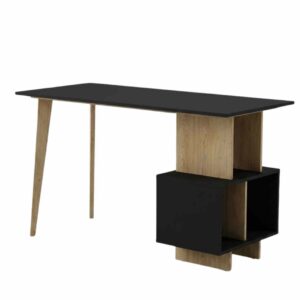 El Escritorio RIBE Gacela